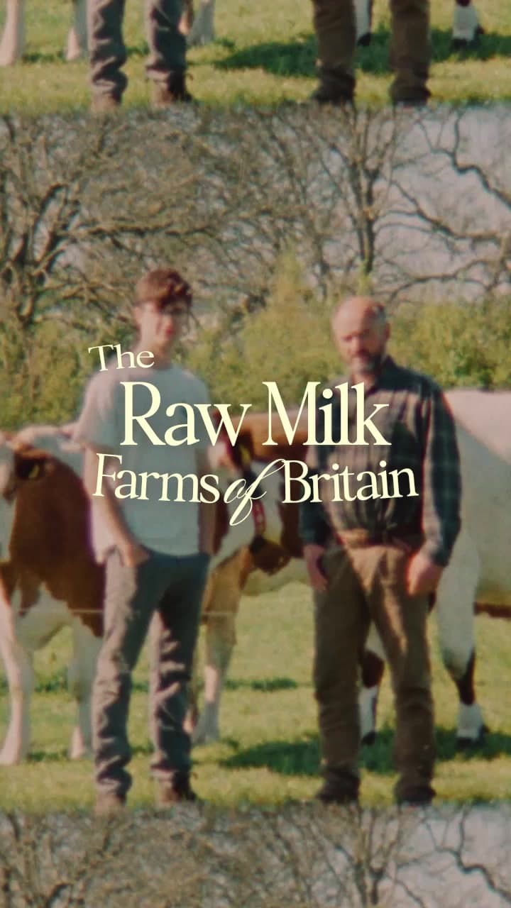 Two farmers stand with their cows in the sun at Buckwell Organic, in the opening frame of the farm reel titled "The Raw Milk Farms of Britain"