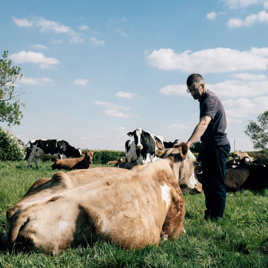 Raw Milk Organic A2 Grass-Fed 6x 1L