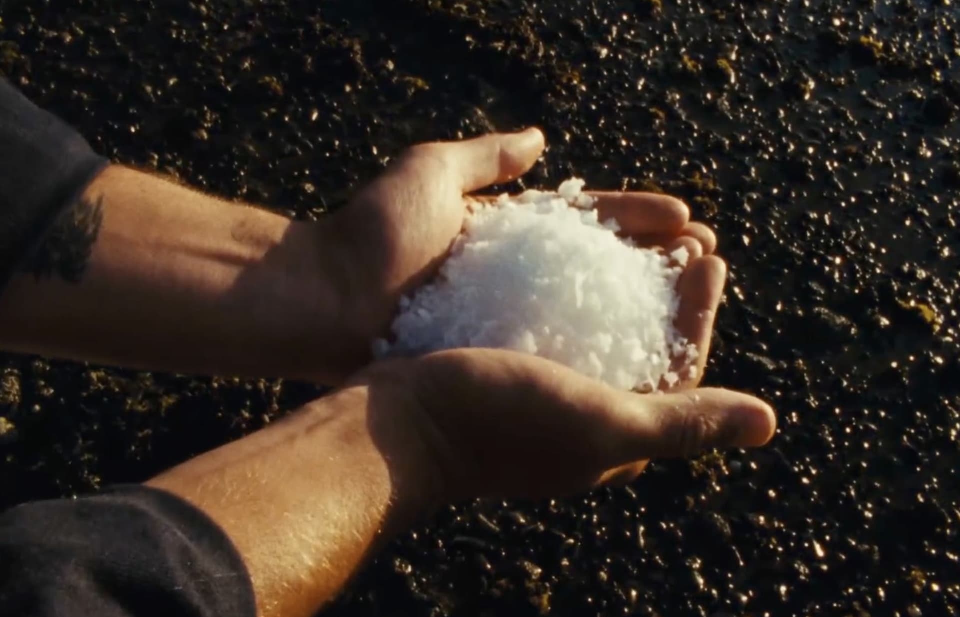 Two cupped hands holding a mound of freshly harvested sea salt over the wet ground