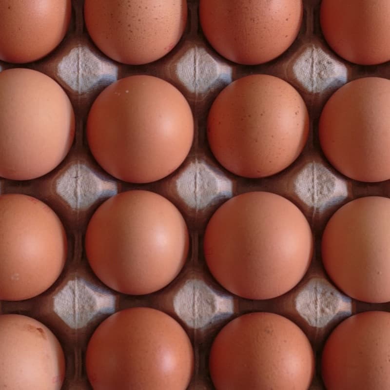 Brown eggs in a carton, close up