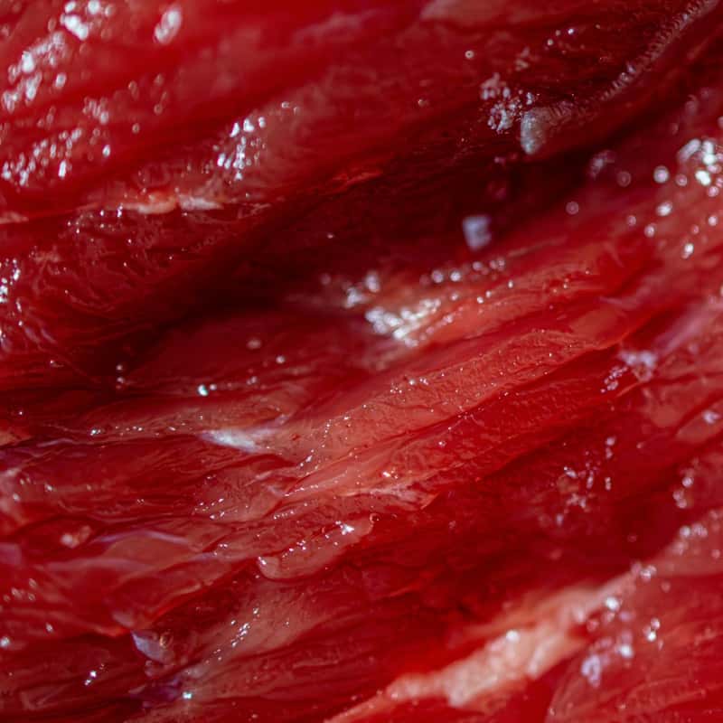 Red muscle, close up
