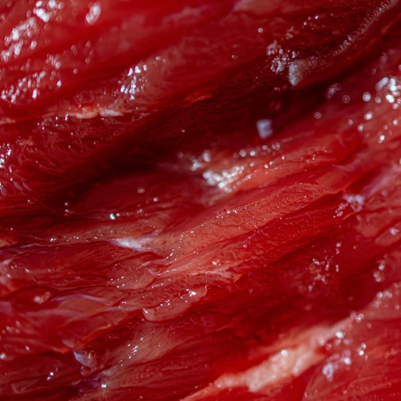 Red muscle, close up