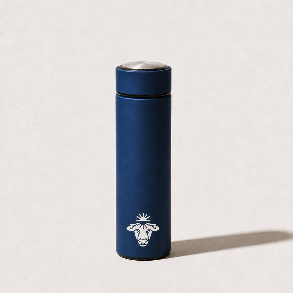 Stainless steel bottle
