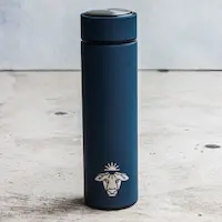 Stainless Steel Bottle