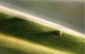 Collagen precursors testing