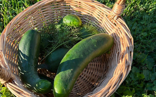 5 foods you think are healthy (but are actually ruining your gut)