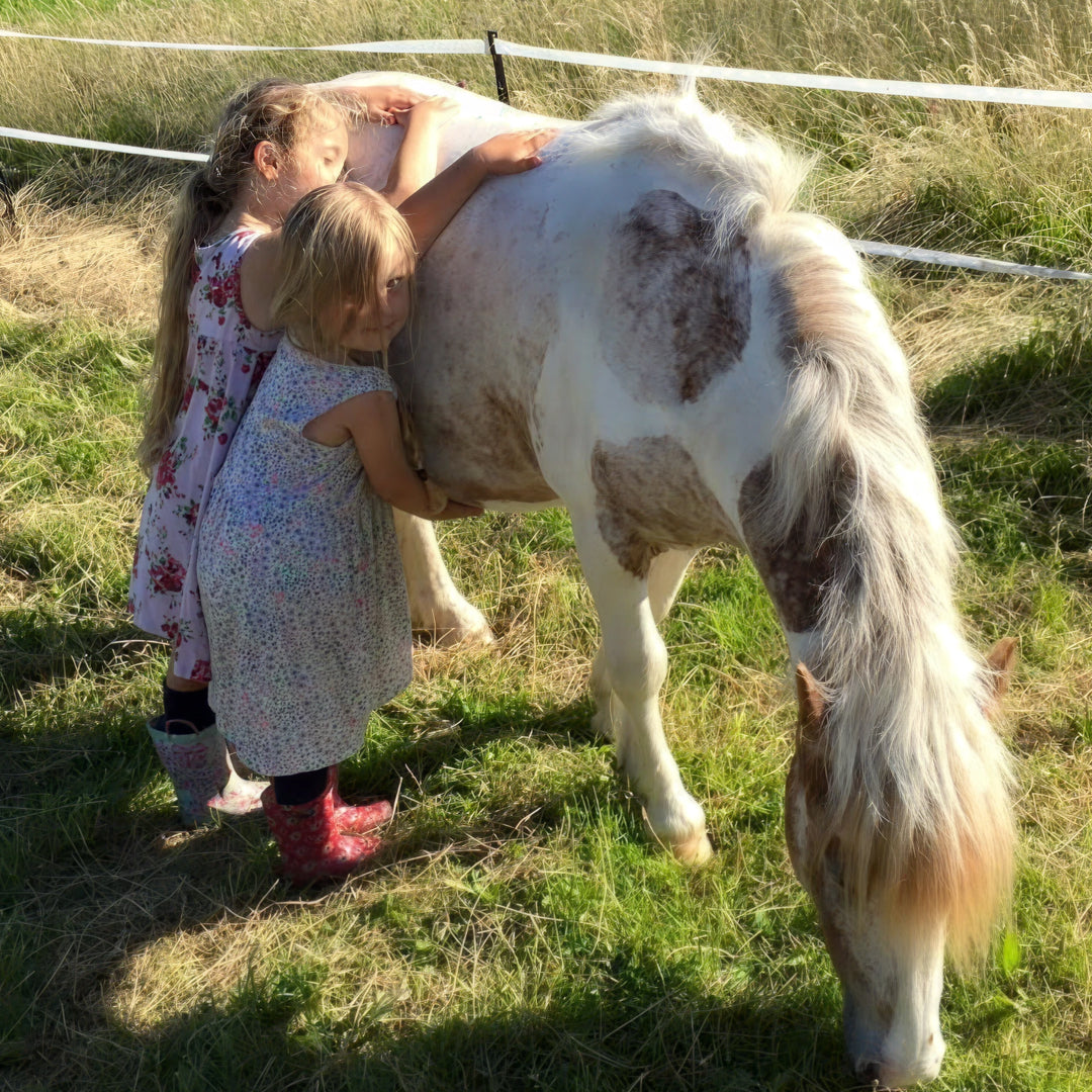 We found your local farm to visit this Easter (expect lamb cuddles)