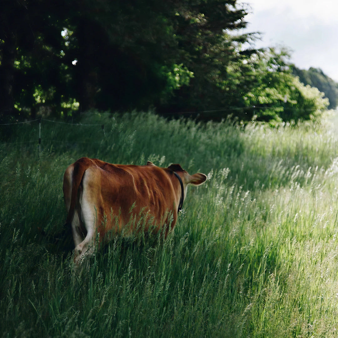 Are you deficient in these 7 overlooked nutrients?