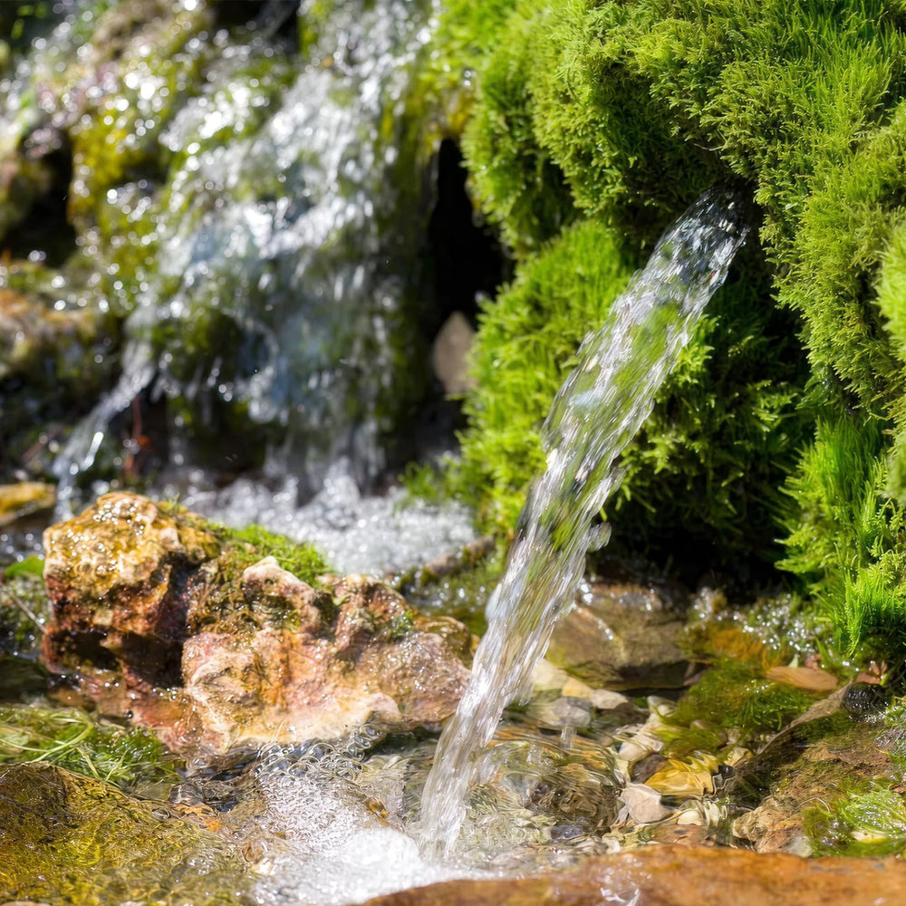 6 reasons to stop drinking tap water (and what to drink instead)