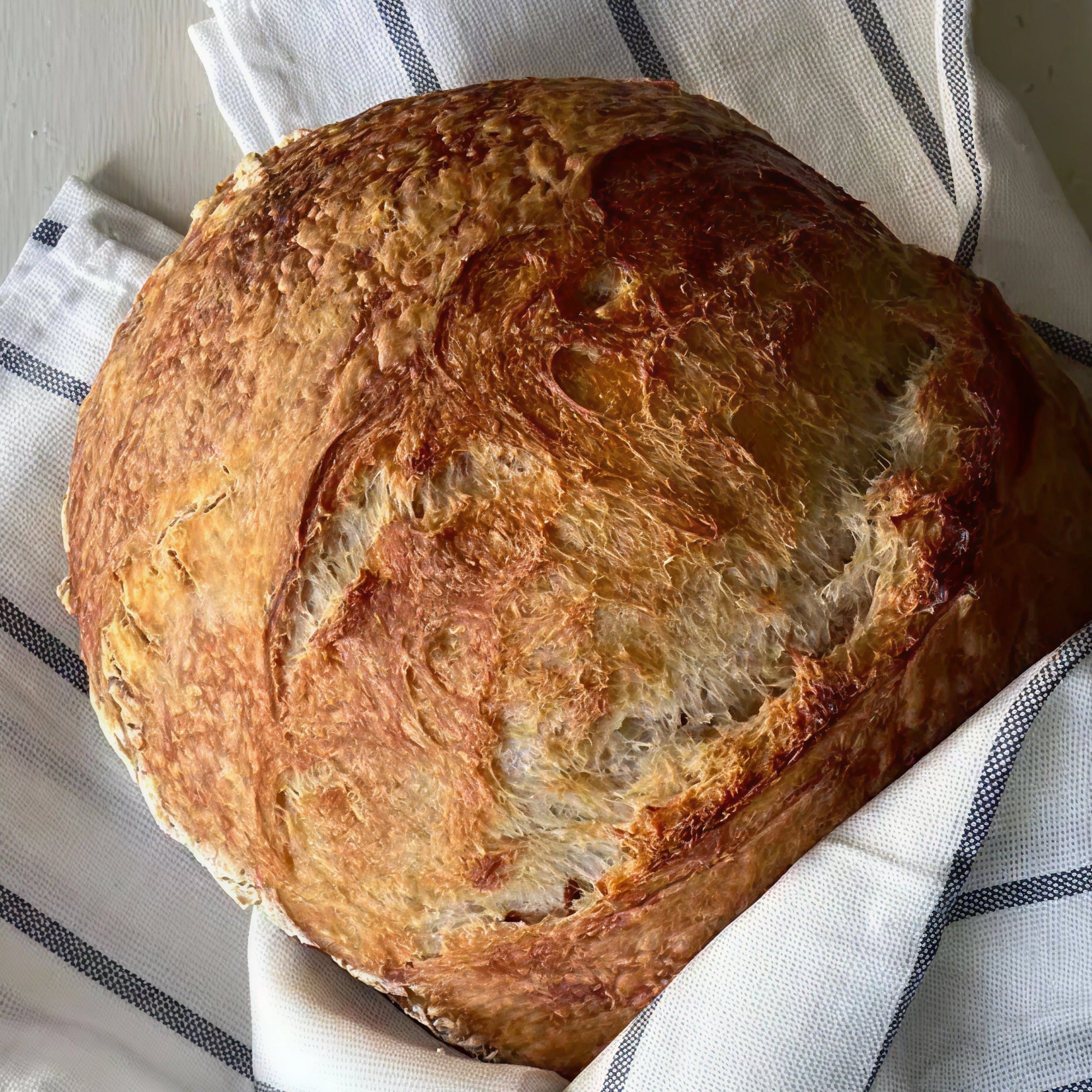 The modern bread problem no one explains