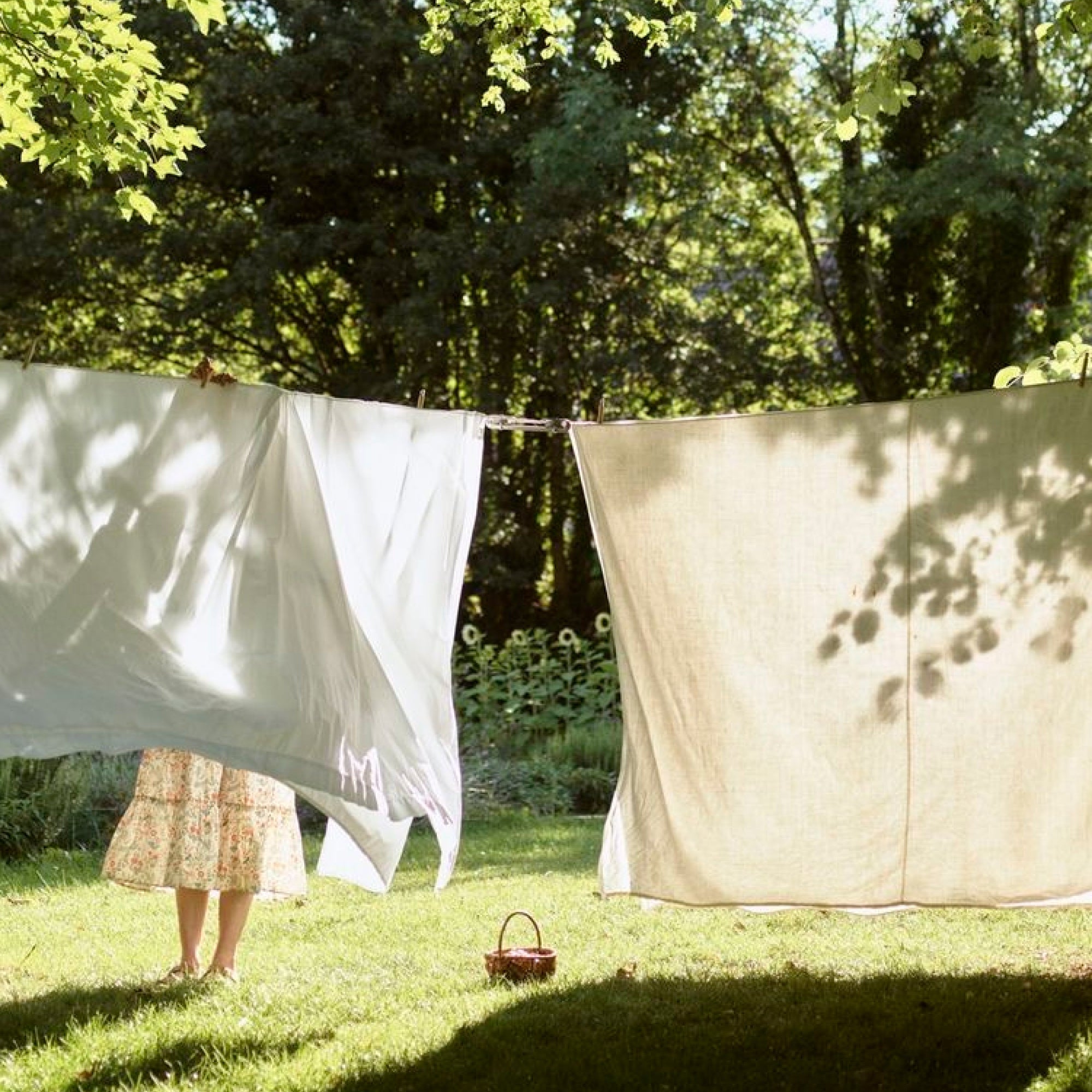 Our non toxic laundry guide