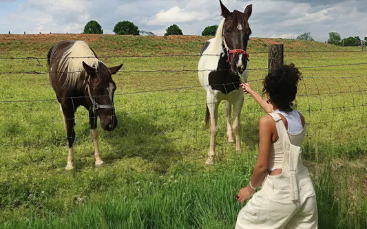 6 reasons your body resists weight loss