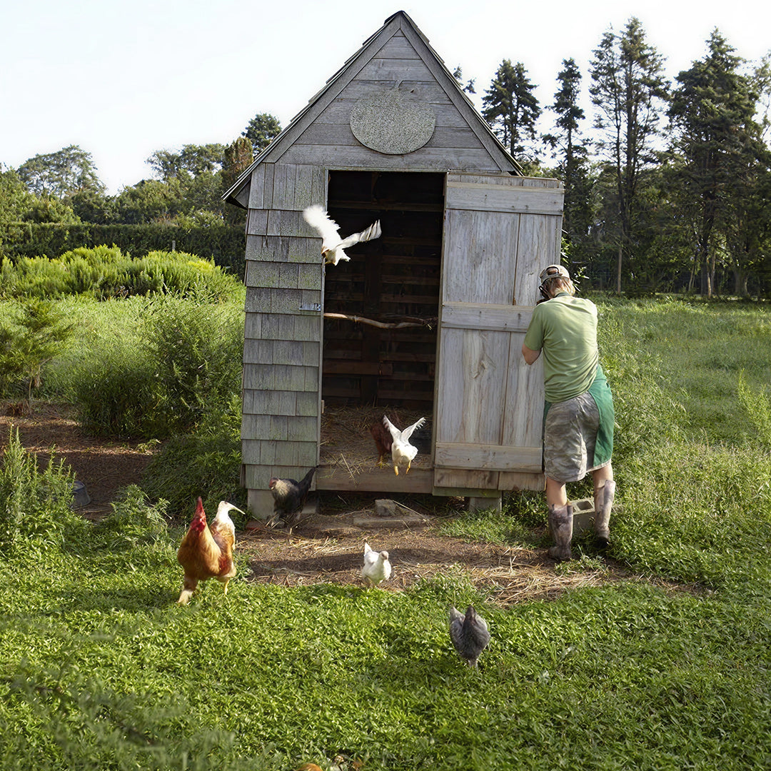 Make these 6 swaps to halve your food bill