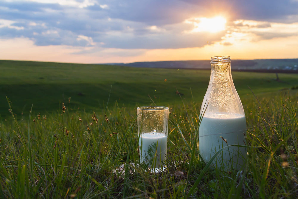 Why raw milk?