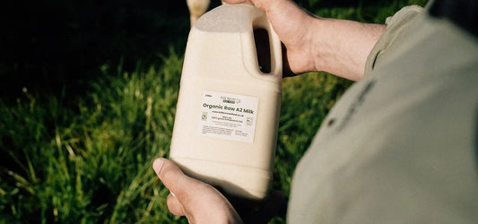 Where to find raw milk