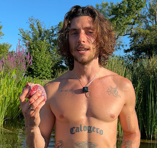 Why eating an organ heals that same organ