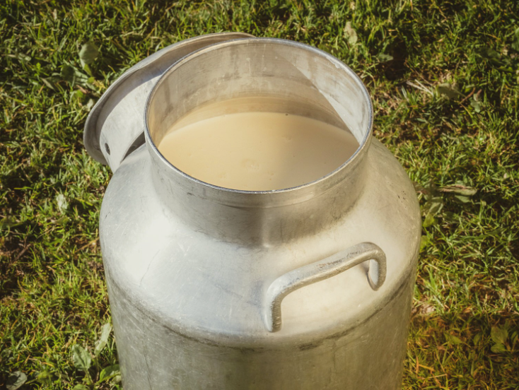 Metal container filled with raw milk. Highlights the comparison of bovine colostrum vs. collagen for health benefits.