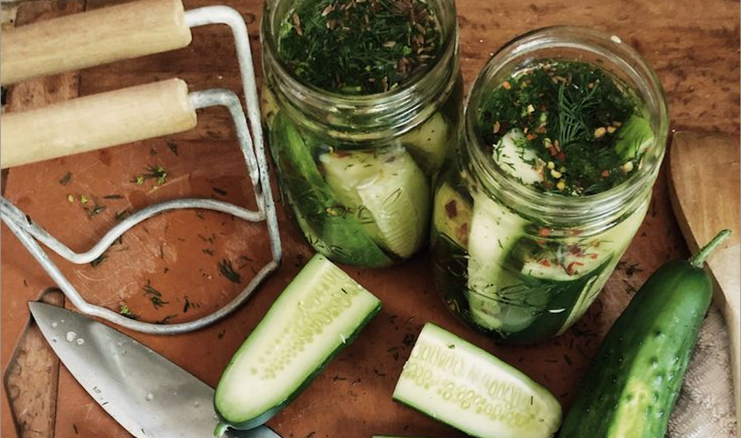 The evolution of food processing and what weโve lost โ Organised Biology Diagrams