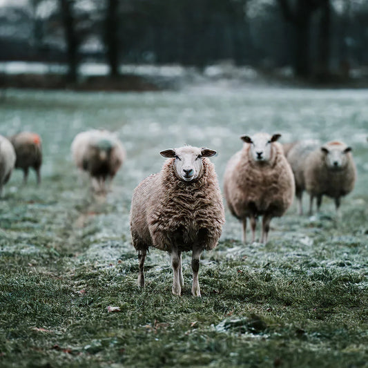 How to beat seasonal depression