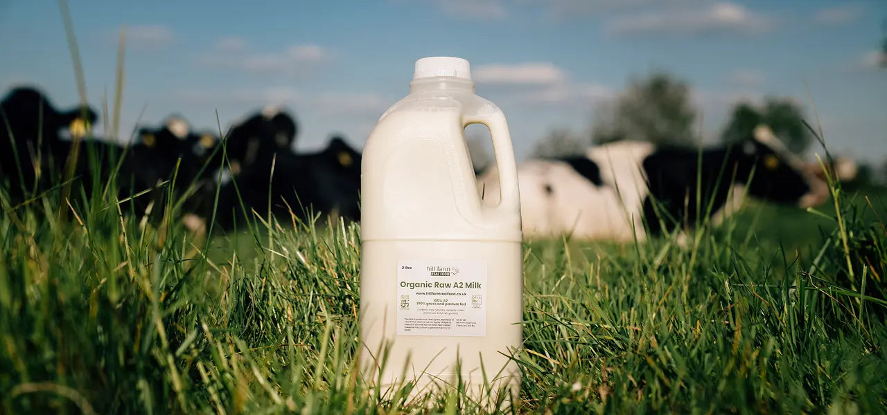 What Is Raw Milk? A Clear Guide (Benefits, Risks & How to Source It Well)