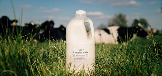 What Is Raw Milk? A Clear Guide (Benefits, Risks & How to Source It Well)