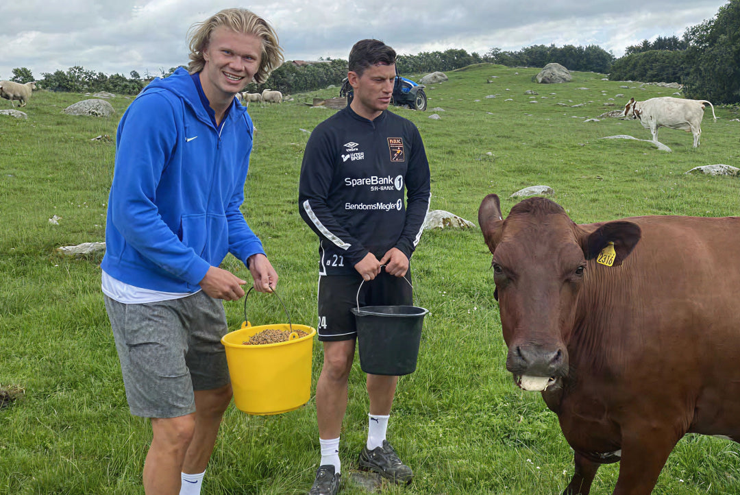 5 reasons Erling Haaland drinks raw milk
