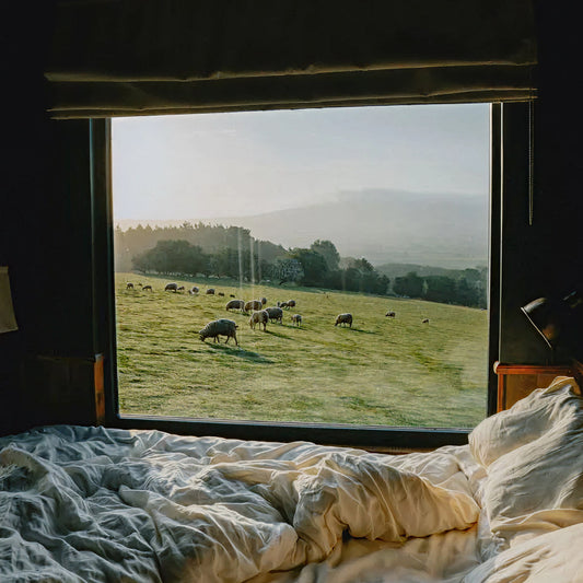 Why you always wake up at 2-3am (& what to do about it)