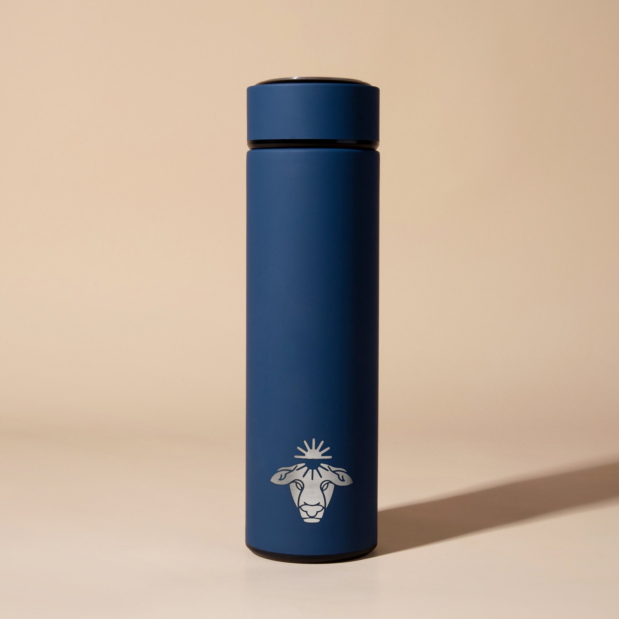 Stainless Steel Bottle